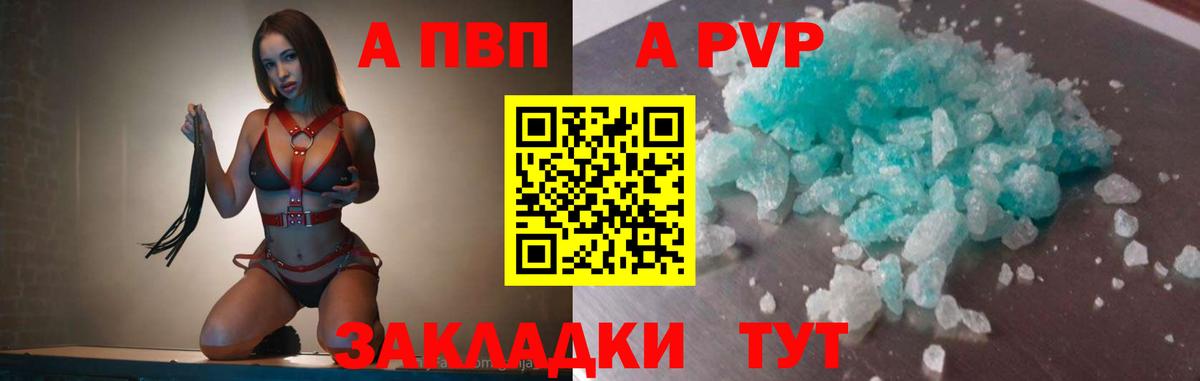 Alfa_PVP СК КРИС Ростов Великий