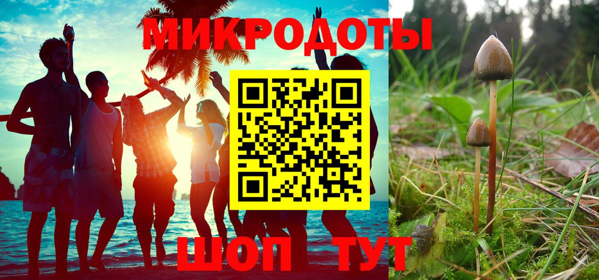 Галлюциногенные грибы мицелий Ростов Великий