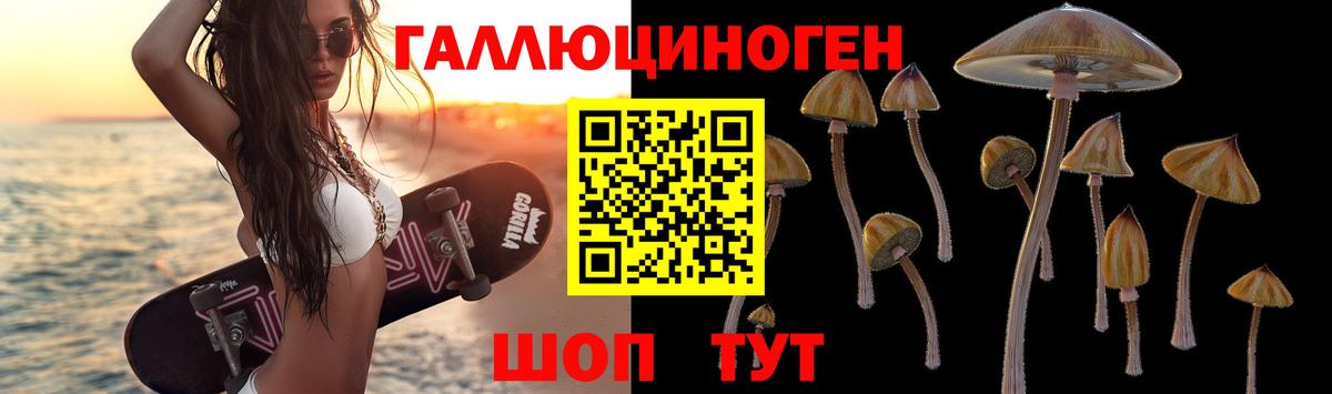 Псилоцибиновые грибы GOLDEN TEACHER  Вход с VPN  Ростов Великий  Галлюциногенные грибы GOLDEN TEACHER 