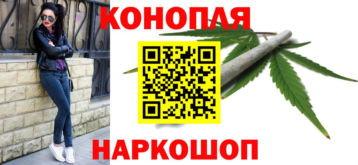 Канабис сатива Ростов Великий